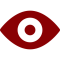 vision